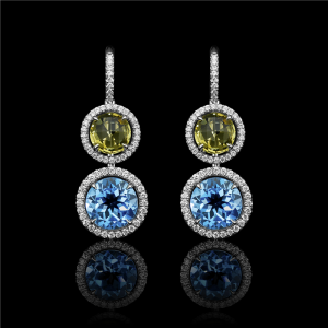 Double Halo  Wire Earrings